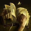 the-ideal-life avatar