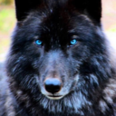 the-idk-anymore avatar