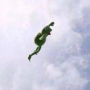 the-inconstantmoon avatar