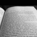 the-indigo-auti avatar