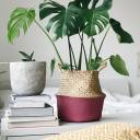 the-internet-hates-me avatar