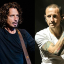 the-introvert4705 avatar