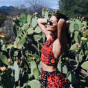 the-issue-blog avatar