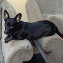 the-jessi-k-blog avatar