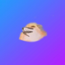 the-king-of-kicks avatar