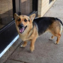 the-king-of-the-yeets avatar