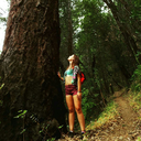 the-krystalship avatar