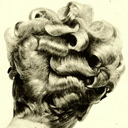 the-lair-of-hair avatar