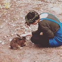 the-last-noel avatar