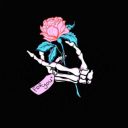 the-last-word-before-the-end avatar