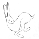 the-leveret-art avatar