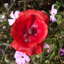 the-life-and-times-of-a-gee-blog avatar