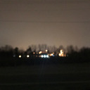 the-lion-roars avatar