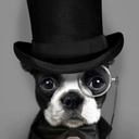 the-list-games avatar