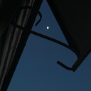 the-little-goblin avatar