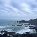 the-little-lies-we-tell avatar