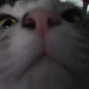 the-lone-banana avatar