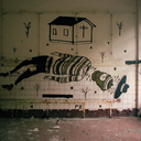 the-lonely-other avatar