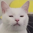 the-lonelyson avatar