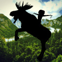the-loosest-moose avatar