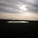 the-lost-book-thief avatar