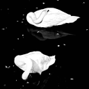 the-lost-whirwind avatar