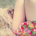 the-love-breaks-my-bones avatar