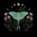 the-luna-moth avatar