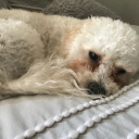 the-mad-hatter-is-mad avatar