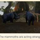 the-mammoths-are-acting-strange avatar