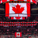 the-mandolorian avatar