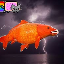 the-maneating-goldfish avatar