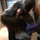 the-marvelousbreadfish avatar