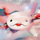 the-medium-axolotl avatar