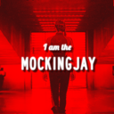 the-mockingjay-girlonfire-blog avatar