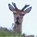 the-monosyllable avatar