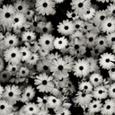 the-monsters-and-their-prey avatar