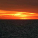 the-moon-and-the-stars-14 avatar