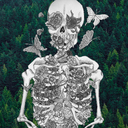 the-moonandthe-sun avatar