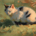 the-moons-wife avatar