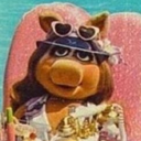 the-most-muppetational avatar