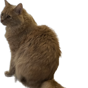 the-mothman-ads avatar