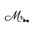 the-mr-mister avatar