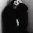 the-murderer-blog avatar