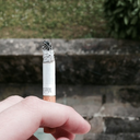 the-music-saved-me avatar