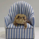 the-name-is-earl avatar