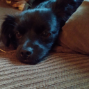 the-namelessone avatar