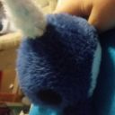 the-narwhals-awaken avatar