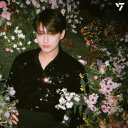 the-neon-convent avatar