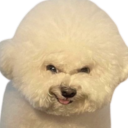 the-new-universe-change avatar